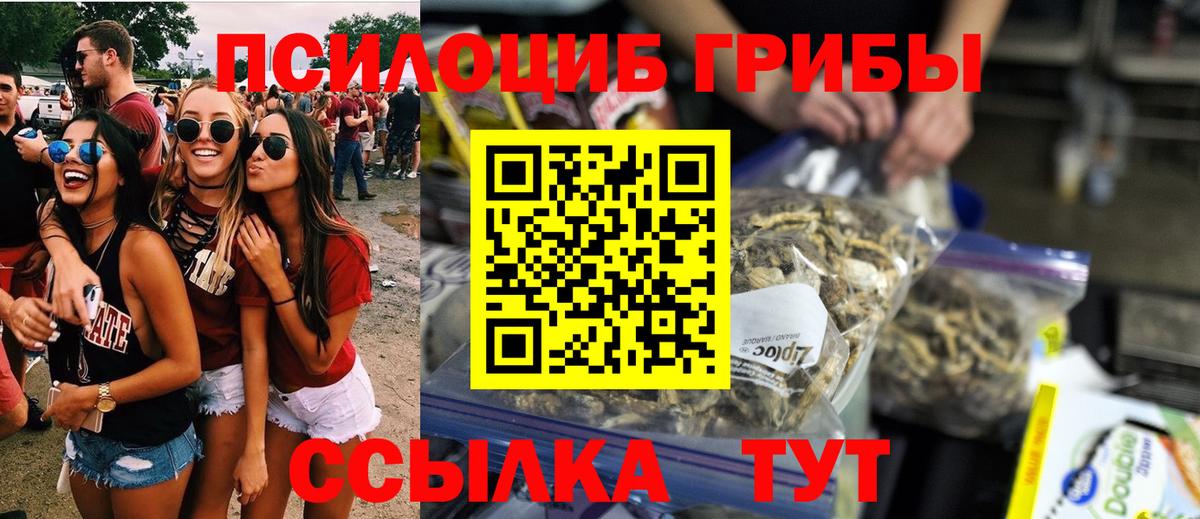 Галлюциногенные грибы прущие грибы  Вход с VPN  Александров 
